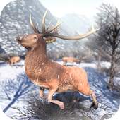 Deer Gun Hunting Games 2019- FPS Shooting Games 1.0