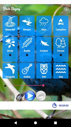 Birds Singing screenshot 8