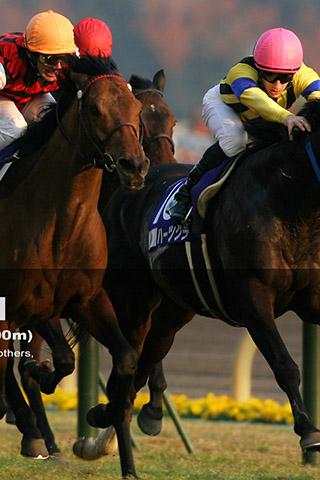 Horse Racing Puzzle screenshot 1