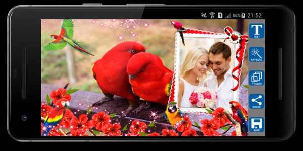 Love Birds Photo Frames screenshot 4