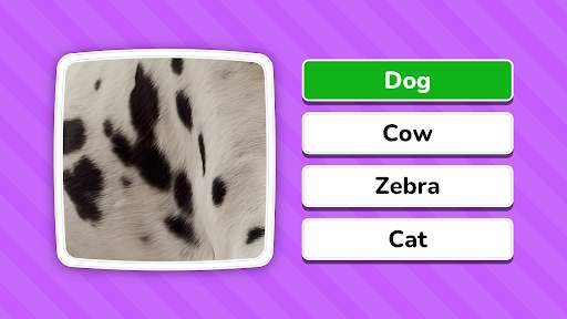 Zoom Quiz: Close Up Pics Game screenshot 7