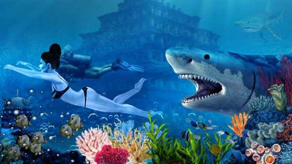 Blue Whale Simulator: Hungry Angry Shark Evolution screenshot 5