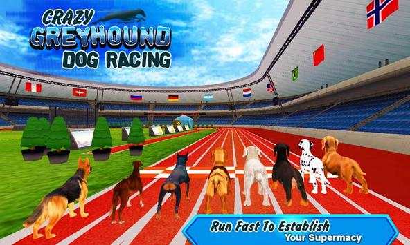Crazy Greyhound Dog Racing screenshot 2