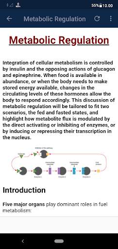 Medical Biochemistry Textbook screenshot 5