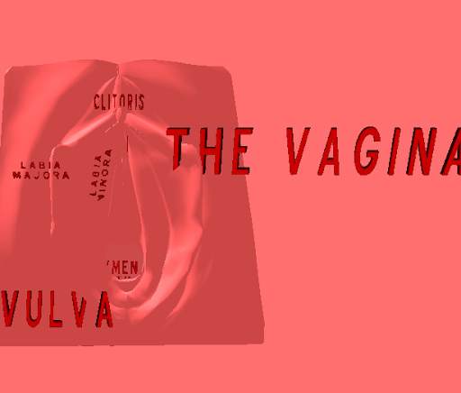 Vagina 3D screenshot 1
