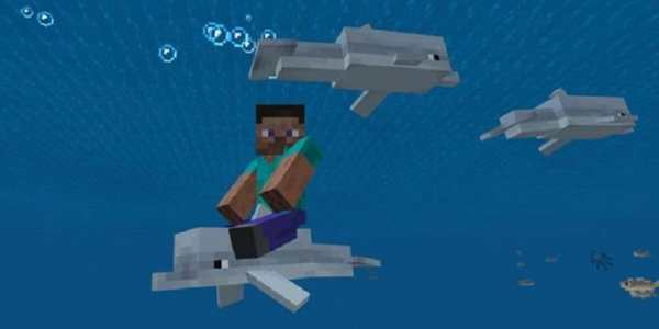 MOD Dolphin Riding Addon screenshot 2