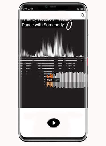 Whitney Houston Mp3 Songs Lyrics screenshot 4