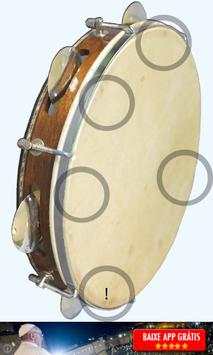 Samba Music Instruments iSamba screenshot 2
