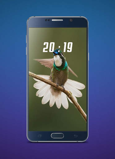 Hummingbird Wallpaper screenshot 6