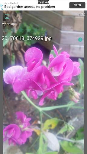 Piwigo Client - Free screenshot 4