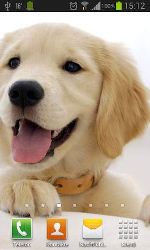 Puppies dogs live wallpaper screenshot 3