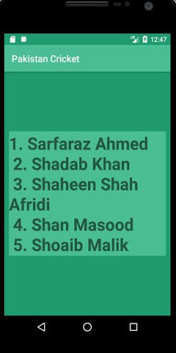 Pakistan Cricket screenshot 3