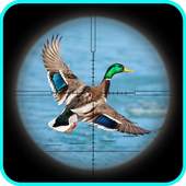 Sniper Duck Shooting 3D 1.0