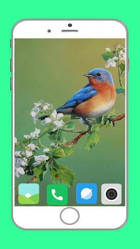 Birds Full HD Wallpaper स्क्रीनशॉट 12