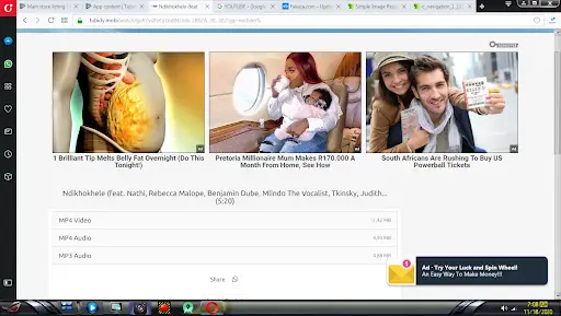Tubidy screenshot 2