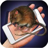 Rat Hand Funny Joke 1.01