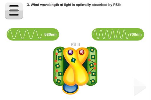 Biology Photosynthesis screenshot 6