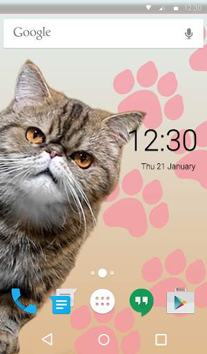 Grumpy Animated Keyboard   Live Wallpaper screenshot 6