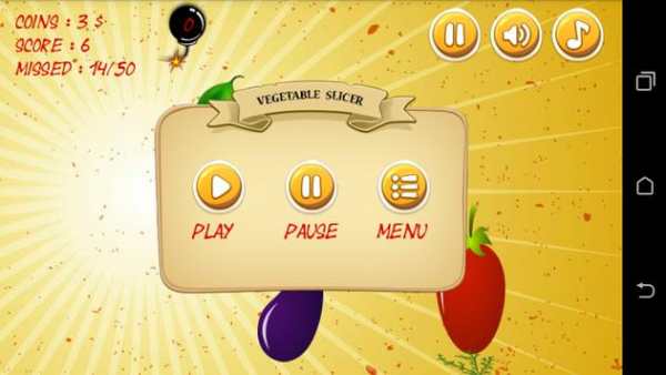 Vegitable Splasher Ninja Style screenshot 4