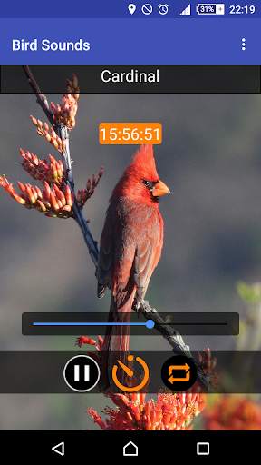 Relax & Sleep with Bird Sounds screenshot 8