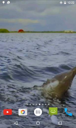 Jumping Dolphin Live Wallpaper screenshot 1