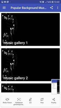 Popular Background Musics screenshot 1