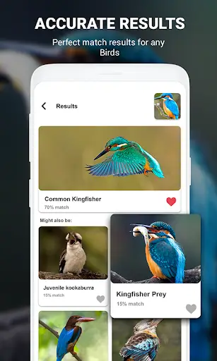 Birds Identifier App by Photo, Bird ID Camera 2020 screenshot 12