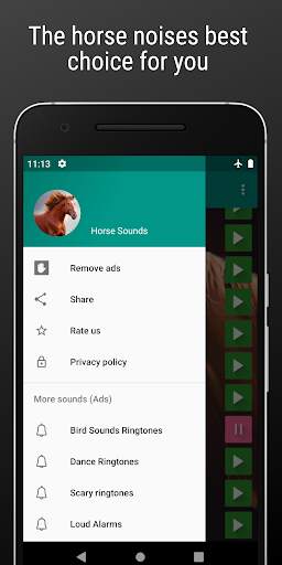 Horse Sounds and Ringtone free screenshot 5