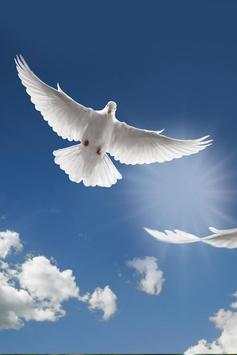 Birds Wallpaper screenshot 23