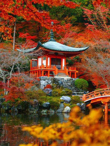 Free Autumn Wallpaper screenshot 4