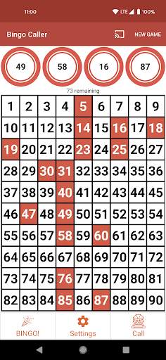 Bingo Caller screenshot 8