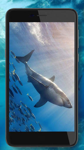 Sharks Live Wallpaper screenshot 3