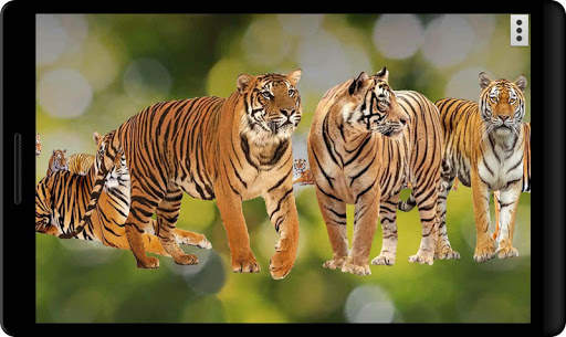 4D Tigers of Durga Live Wallpaper screenshot 8