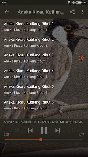 Suara Burung Kutilang Ribut screenshot 3
