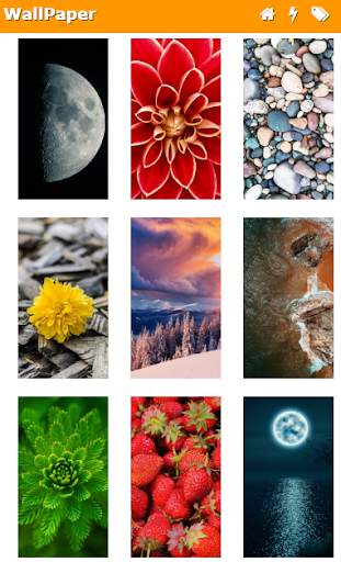 WallPapers from Micromax screenshot 3
