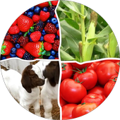 Farm Diary icon