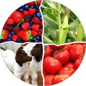 Farm Diary 1.016