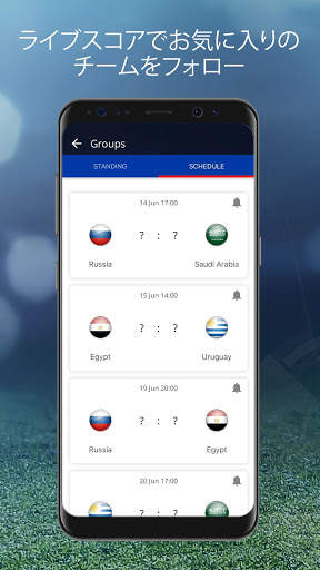 Russia ‘18 screenshot 3