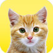 My Real Talking Cat أيقونة