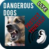 Dangerous Dogs Lite Version 1.1