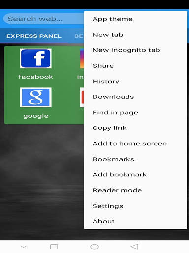 Private browser screenshot 5