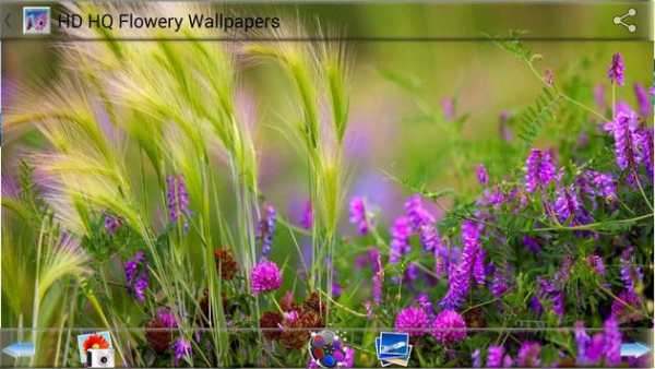 HD HQ Flowery Wallpapers screenshot 5