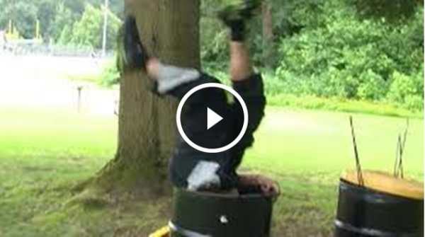 Latest Funny Videos screenshot 1
