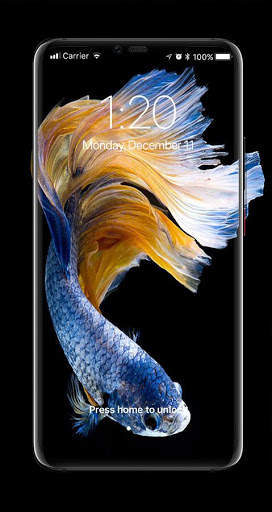 Betta Fish Live Wallpaper 2020 screenshot 1