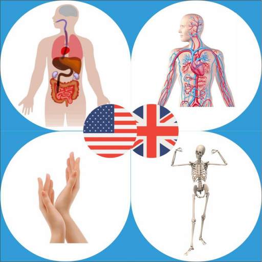 Body Parts Name and Pictures 20.02