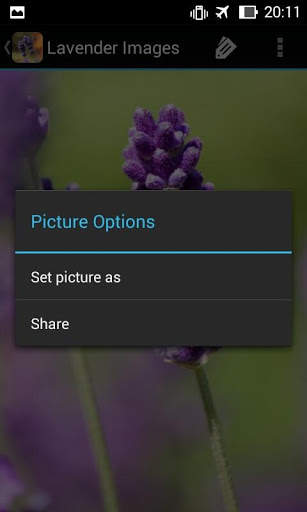 LavenderBG: Lavender Wallpaper screenshot 4