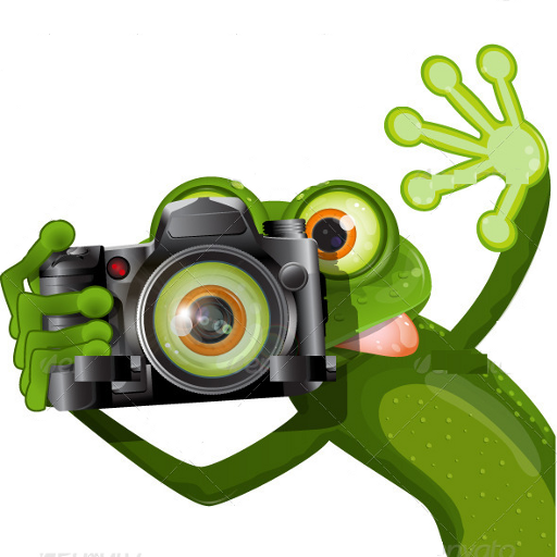 Cartoon Camera Frames иконка