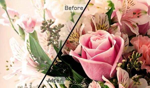Shimmer Color Splash Editor screenshot 8
