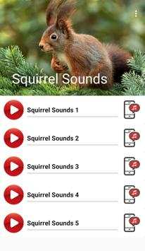 Squirrel Sounds screenshot 1