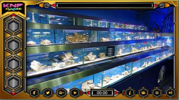 Can You Escape From Fish Shop screenshot 3